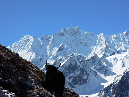Langtang - Gosainkunda - Helambu via Sundarijal